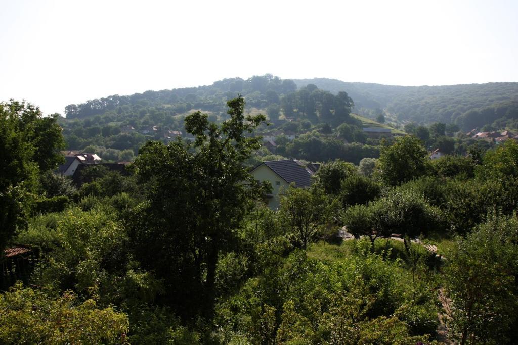 Pensiunea Σιγκισοάρα Εξωτερικό φωτογραφία